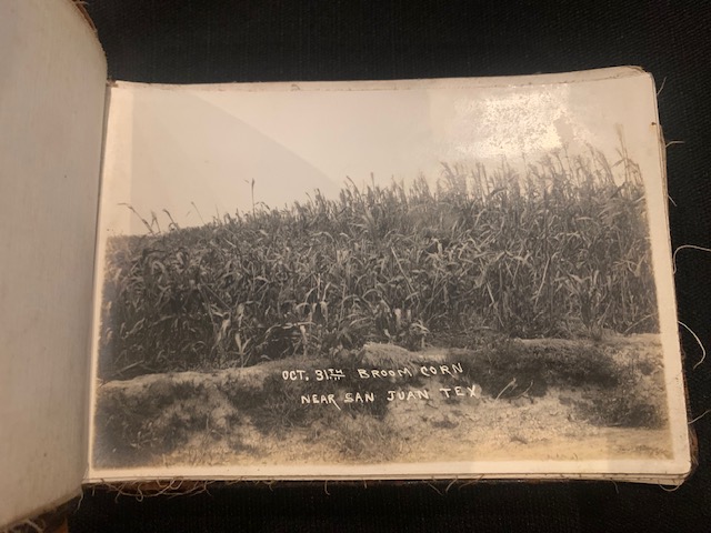 A dense field of broom corn near San Juan, Texas, dated October 31st.