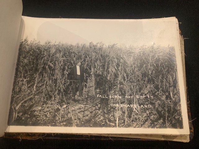 A man in a suit stands in a tall field of Fall Corn on the Sharyland development on November 2, 1917.